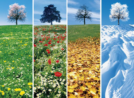 the four seasons to twitch or not to twitch tic ruffec