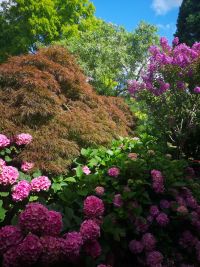 Magnifique Propriété avec son Jardin digne des plus Grands Paysagistes