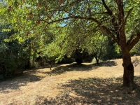 Charming Property with Two Houses, Barn, and Woodland – Near Civray