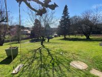 Magnifique Pavillon Semi-Enterré Avec Parc Arboré Clos Au Calme - Ruffec