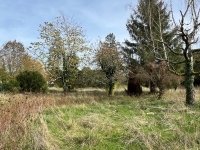 Small Cottage With 2nd Property To Renovate Close to Verteuil-Sur-Charente