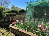A Very Attractive Longère With Guest Accommodation In A Small Hamlet Near Ruffec