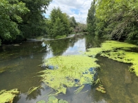 Renovated Flour Mill, Ideally Located in a Peaceful Setting On The River Charente