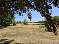 Beautiful Stone Character Home with Gîte, Annexe, and Land in a Quiet Hamlet, Just 8 Minutes from Champagne-Mouton