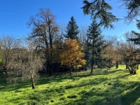 Beautiful 17th Century House For Sale with Park and Outbuildings