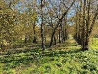 Beautiful 17th Century House For Sale with Park and Outbuildings