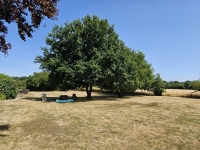 Beautiful Stone Character Home with Gîte, Annexe, and Land in a Quiet Hamlet, Just 8 Minutes from Champagne-Mouton