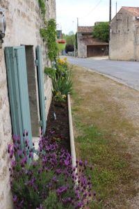 Stone house with a gîte - Next to Mansle