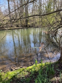 Riverside Property with Attached Barn and Gardens