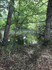 Riverside Property with Attached Barn and Gardens