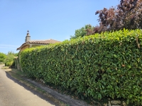 Beautiful Stone Character Home with Gîte, Annexe, and Land in a Quiet Hamlet, Just 8 Minutes from Champagne-Mouton