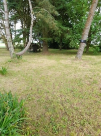 Beautifully Renovated Detached 4 Bedroomed Property