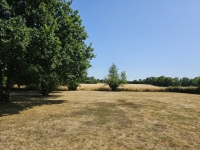 Beautiful Stone Character Home with Gîte, Annexe, and Land in a Quiet Hamlet, Just 8 Minutes from Champagne-Mouton