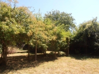 Belle Maison Avec 2 Granges Et Un Beau Jardin