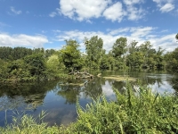 A Rare Find: 3-Bedroom Riverside Home in Taizé-Aizie. Land of 7645m²