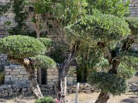 Magnifique Propriété avec son Jardin digne des plus Grands Paysagistes