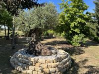 Magnifique Propriété avec son Jardin digne des plus Grands Paysagistes