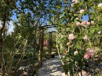 Magnifique Propriété avec son Jardin digne des plus Grands Paysagistes