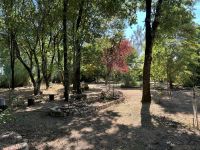 Magnifique Propriété avec son Jardin digne des plus Grands Paysagistes