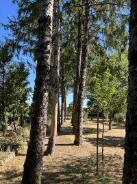 Magnifique Propriété avec son Jardin digne des plus Grands Paysagistes