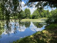 Pavillon sur Sous-sol avec Beau Jardin en Bordure de Charente