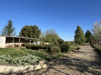 5-Bedroom Family House with Large Enclosed Garden