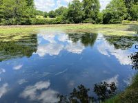Delightful Riverside Property Offering 3 Bedrooms And Just 2kms From All Commerce