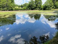 Pavillon sur Sous-sol avec Beau Jardin en Bordure de Charente