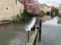 Verteuil-Sur-Charente. Ancien Moulin à Grain dans un Cadre Idyllique