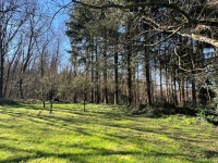 Pretty Stone House With Basement, Beautiful Park And Woods In A Peaceful  Location