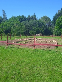 Large 18th Century House with 7 Bedrooms and Swimming Pool, Near Brux And Used For Airbnb