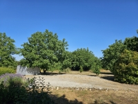 Lovely Bungalow on a Large Plot of Land with No Overlooking Neighbours
