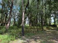 A Rare Find: 3-Bedroom Riverside Home in Taizé-Aizie. Land of 7645m²