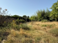 Charming Stone Village House – 8 Rooms – Enclosed Garden (1972m²) and Outbuildings
