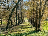 Beautiful 17th Century House For Sale with Park and Outbuildings