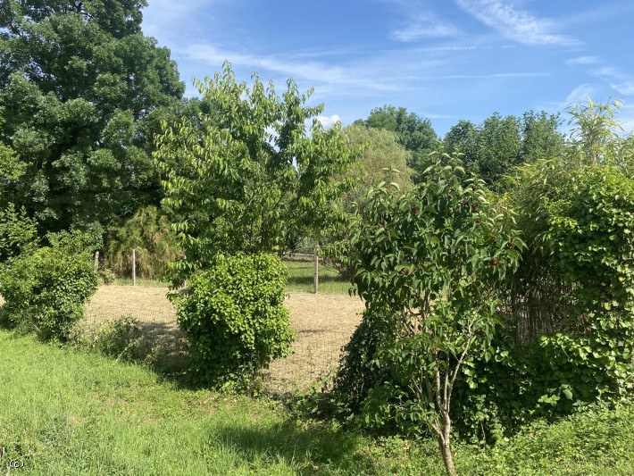 HURRY! Lovely Leisure Plot  in Verteuil sur Charente with River Access.