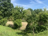 A SAISIR! Beau Terrain de Loisir à Verteuil sur Charente Cloturé Avec Accès Rivière