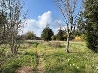 Stone Built  5-Bedroom Country House On One Level with a Large Enclosed Park. Ideal For Horses