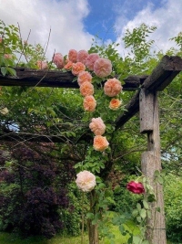 Belle Maison Avec 2 Granges Et Un Beau Jardin