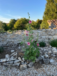 Jolie Maison De Campagne 7 Minutes de Nanteuil