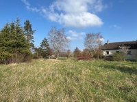 Stone Built  5-Bedroom Country House On One Level with a Large Enclosed Park. Ideal For Horses