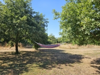Lovely Bungalow on a Large Plot of Land with No Overlooking Neighbours