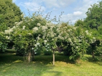Belle Maison Avec 2 Granges Et Un Beau Jardin