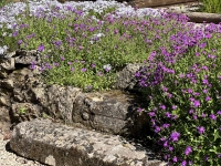 Belle Maison en Pierre avec Beau Jardin