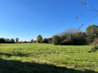 Large Old House For Sale Near Nanteuil-en-Vallée On Nearly 2 Acres