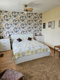 Bright Detached Bungalow With Beautiful Wooded Grounds