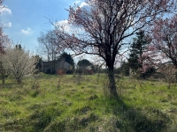 Stone Built  5-Bedroom Country House On One Level with a Large Enclosed Park. Ideal For Horses