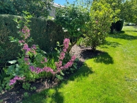 Charming Country House For Sale in a Peaceful Setting with Open Field Views