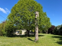 Attractive Character Stone House with Lovely Garden Close To Villefagnan