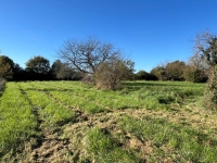Large Old House For Sale Near Nanteuil-en-Vallée On Nearly 2 Acres